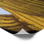 NA, USA, Arizona, Tucson Große Hornkeule Poster (Ecke)