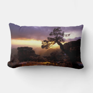 NA, USA, Arizona, Tucson, Sonnenuntergang und eins Lendenkissen