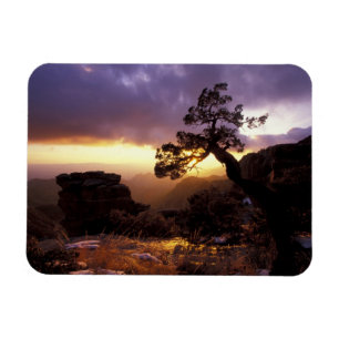 NA, USA, Arizona, Tucson, Sonnenuntergang und eins Magnet