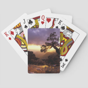 NA, USA, Arizona, Tucson, Sonnenuntergang und eins Spielkarten