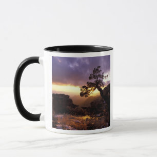NA, USA, Arizona, Tucson, Sonnenuntergang und eins Tasse