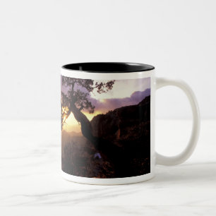 NA, USA, Arizona, Tucson, Sunset und Lone Zweifarbige Tasse