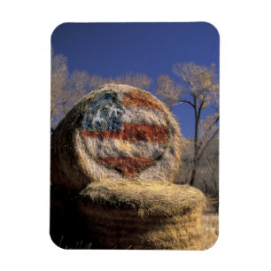 NA, USA, Colorado, Gunnison. Patriotische Heurutsc Magnet