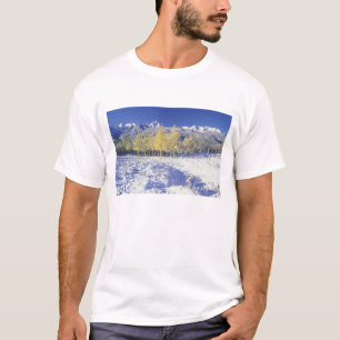 NA, USA, Colorado, San Juan Mts Frischer Schnee T-Shirt