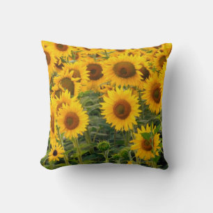Na, USA, Colorado, Sonnenblumen Kissen