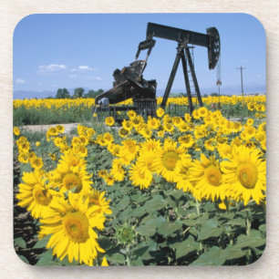 Na, USA, Colorado, Sonnenblumen, Oil Derrick Getränkeuntersetzer
