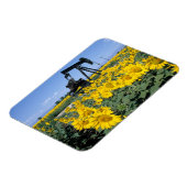 Na, USA, Colorado, Sonnenblumen, Oil Derrick Magnet (Linke Seite)