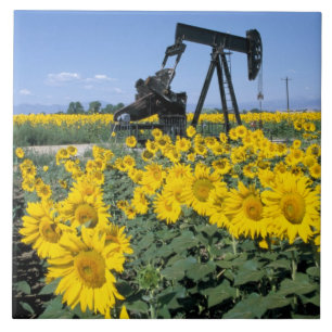 Na, USA, Colorado, Sonnenblumen, Ölbohrturm Fliese