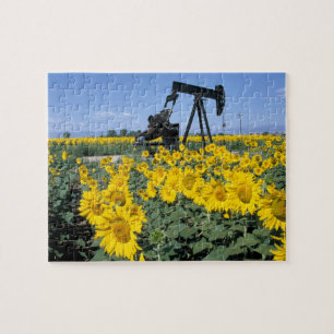 Na, USA, Colorado, Sonnenblumen, Ölbohrturm Puzzle