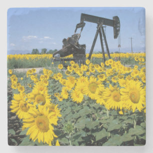 Na, USA, Colorado, Sonnenblumen, Ölbohrturm Steinuntersetzer