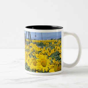 Na, USA, Colorado, Sonnenblumen, Ölbohrturm Zweifarbige Tasse