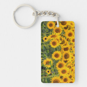 Na, USA, Colorado, Sonnenblumen Schlüsselanhänger