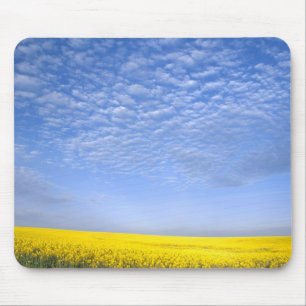 Na, USA, ID, Grangeville, Feld mit Rapsanbau Mousepad