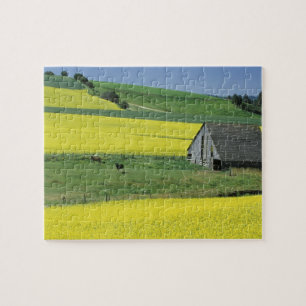 NA, USA, Idaho, bei Potlatch, Raps und alt Puzzle