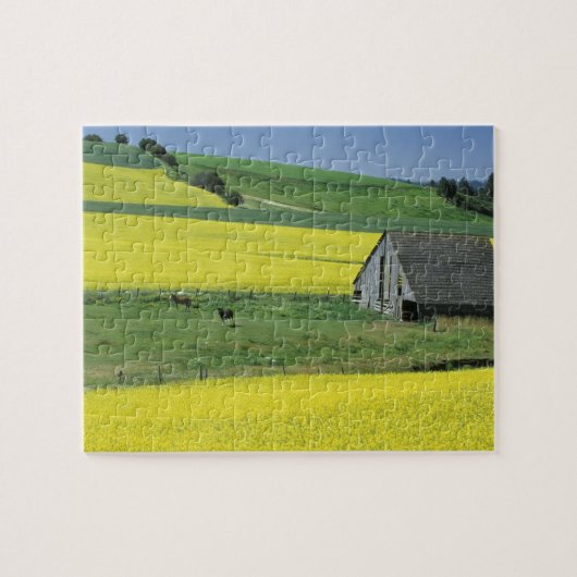 Na, USA, Idaho, nahe Potlatch, Canola und altem Puzzle (Horizontal)
