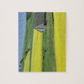 Na, USA, Idaho, nahe Potlatch, Canola und altem Puzzle (Vertikal)