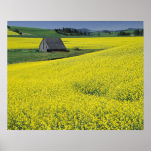 NA, USA, Idaho, near Potlatch, Wooden barn and Poster