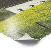 NA, USA, Idaho, südlich von Genesse, Kanola Fotodruck (Ecke)