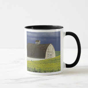 NA, USA, Idaho, südlich von Genesse, Rapsfeld Tasse
