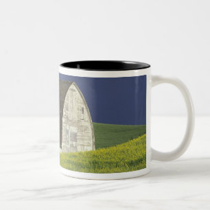 NA, USA, Idaho, südlich von Genesse, Rapsfeld Zweifarbige Tasse