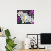 NA, USA, Kalifornien, Anza Borrego Desert Staat Poster (Heimbüro)