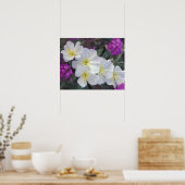 NA, USA, Kalifornien, Anza Borrego Desert Staat Poster (Küche)