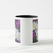 NA, USA, Kalifornien, Anza Borrego Wüste Staat Tasse (Zentrum)