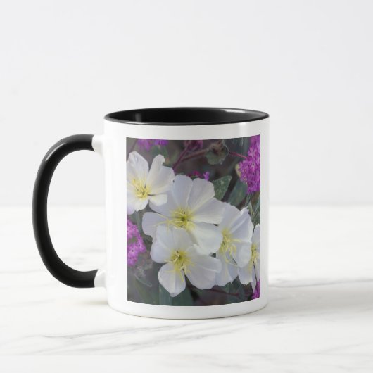 NA, USA, Kalifornien, Anza Borrego Wüste Staat Tasse (Links)