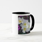 NA, USA, Kalifornien, Anza Borrego Wüste Staat Tasse (VorderseiteRechts)