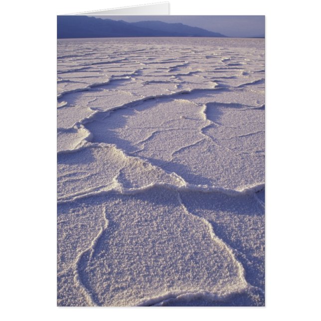 NA, USA, Kalifornien. Death Valley National (Vorne)