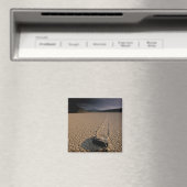 NA, USA, Kalifornien, Death Valley National Magnet (In Situ (Geschirrspüler))