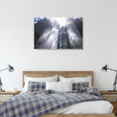 NA, USA, Kalifornien. Del Norte Coast Staat 2 Leinwanddruck (Insitu (Schlafzimmer))