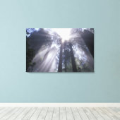 NA, USA, Kalifornien. Del Norte Coast Staat 2 Leinwanddruck (Insitu (Holzboden))