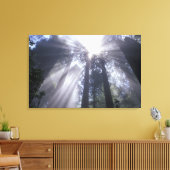 NA, USA, Kalifornien. Del Norte Coast Staat 2 Leinwanddruck (Insitu (Wohnzimmer))