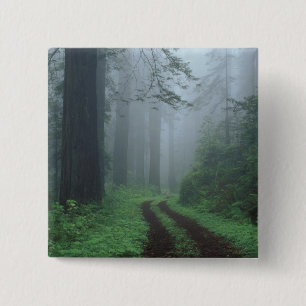 NA, USA, Kalifornien. Del Norte Coast Staat Park. Button