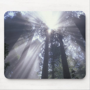 NA, USA, Kalifornien. Del Norte Coast State 2 Mousepad
