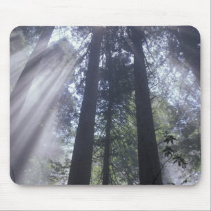 NA, USA, Kalifornien. Del Norte Coast State Mousepad