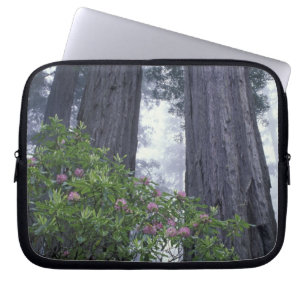 NA, USA, Kalifornien. Del Norte Coast State Park. Laptopschutzhülle
