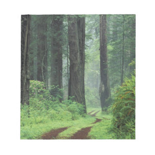 NA, USA, Kalifornien. Del Norte Coast State Park. Notizblock
