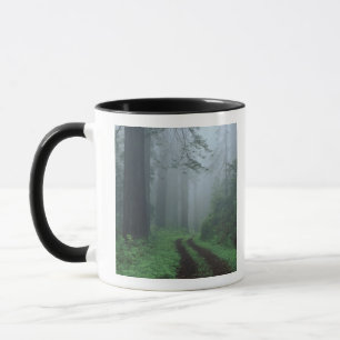 NA, USA, Kalifornien. Del Norte Coast State Park. Tasse