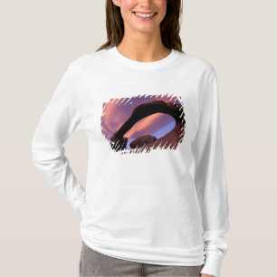 NA, USA, Kalifornien, Eastern Sierra, Alabama T-Shirt