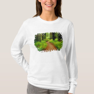 NA, USA, Kalifornien, Jedediah Smith Redwoods T-Shirt
