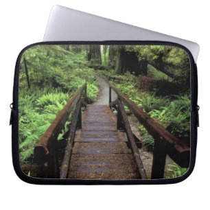 NA, USA, Kalifornien, Jedidiah Smith Redwoods Laptopschutzhülle