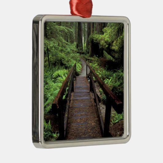 NA, USA, Kalifornien, Jedidiah Smith Redwoods Ornament Aus Metall (Rechts)