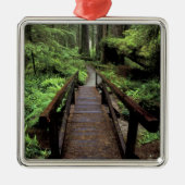 NA, USA, Kalifornien, Jedidiah Smith Redwoods Ornament Aus Metall (Vorne)