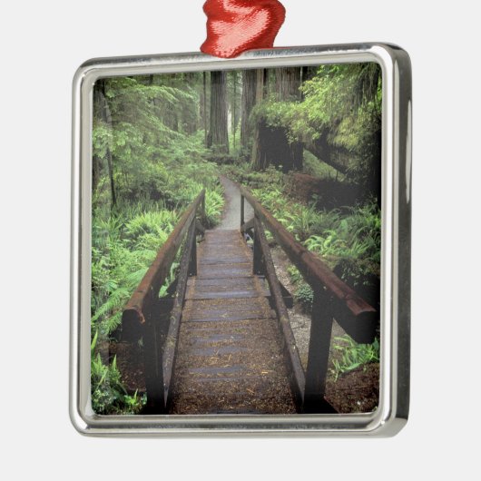NA, USA, Kalifornien, Jedidiah Smith Redwoods Ornament Aus Metall (Links)
