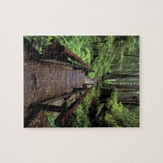 NA, USA, Kalifornien, Jedidiah Smith Redwoods Puzzle (Horizontal)