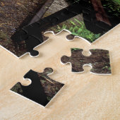 NA, USA, Kalifornien, Jedidiah Smith Redwoods Puzzle (Seite)