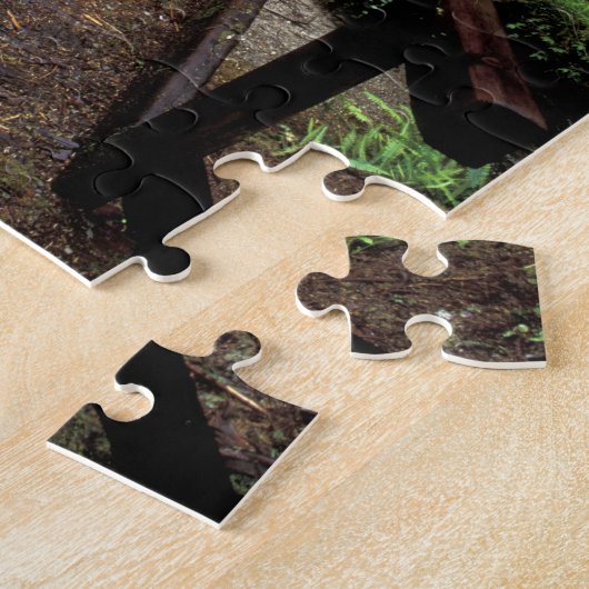 NA, USA, Kalifornien, Jedidiah Smith Redwoods Puzzle (Seite)