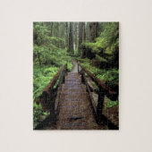 NA, USA, Kalifornien, Jedidiah Smith Redwoods Puzzle (Vertikal)